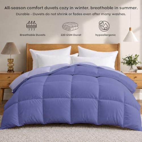Image of AYKA Reversible Comforter 220 GSM Microfiber Reversible AC Comforter /Blanket for Winter /Quilt /Dohar /Duvets for King Size Blanket /Comforter Double Bed (Lavender & Blueberry, 90 * 100)