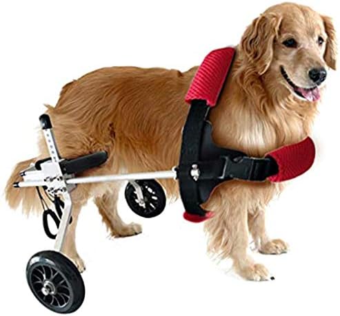 Adjustable Dog Wheelchair for Hind Legs - 2 Wheels Pet Mobility Harness for Handicapped Small Dogs, Puppies & Doggies - Ideal for Rehabilitation & Training