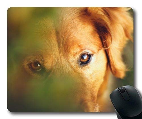 Tappetini per mouse Cuccioli di Golden Retriever Tappetino per mouse per laptop in gomma con cuciture antiscivolo con bordo stampato, Giochi per ufficio e casa, 25 x 30 cm