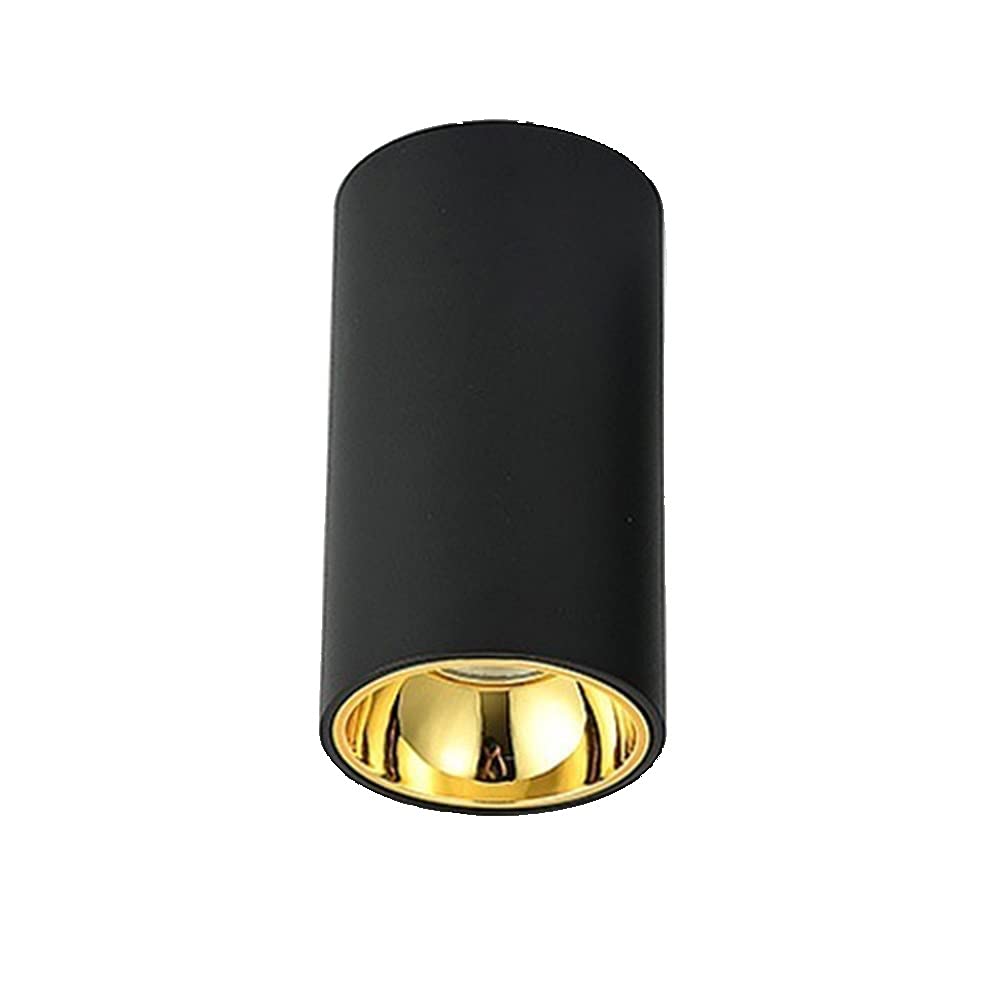 BHGFYXBS Recessed Nordic Wall Mounted Spotlights Led 10W Single Spotlight Gold Free Opening Spotlight Wall Light Cob Ceiling Ceiling Spotlight Ceiling Wall Spotlight Ted,Blacka-Neutral light