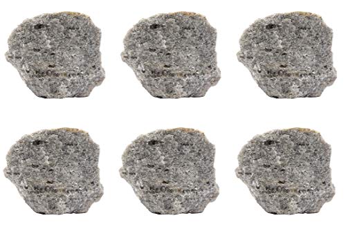 EISCO 6PK Raw Mica Schist, Metamorphic Rock Specimens - Approx. 1