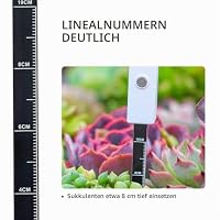 HEEPDD Feuchtigkeitsmesser für Pflanzen, Bodentester für Zimmerpflanzen, Tragbares Messgerät, Weiß – Ansicht 2