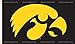 NCAA Iowa Hawkeyes Flag with Grommets 60 x 36in