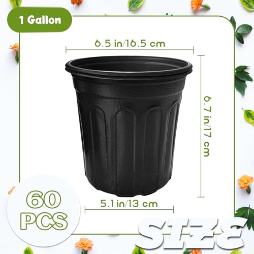Opiniones de Macetas de plastico los mejores 10. 2 Imagen adicional