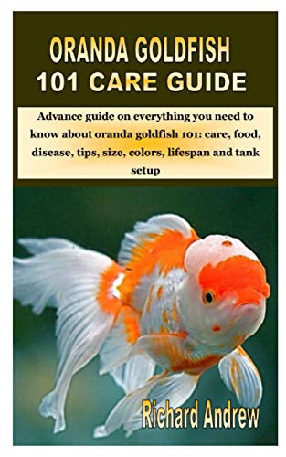 ORANDA GOLDFISH 101 CARE GUIDE: Advance guide on everything you need to know about oranda goldfish 101: care, food, disease, tips, size, colors, lifespan and tank setup