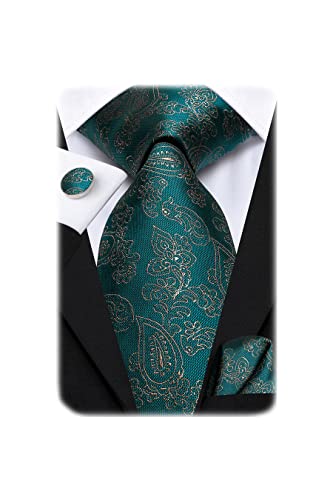 Hi-Tie Silk Paisley Ties for Men Necktie Pocket Square Cufflinks Set Foral Tie Sets Formal Business