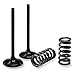 Pro X Stainless Steel Intake Valve And Spring Kit - 28.SIS1403-2
