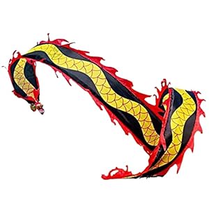 Lint Drakenlint voor Gymnastiektraining Talentenjachten, Fitness Drakendans met Tas En Lang Touw, Jeugd Senioren…