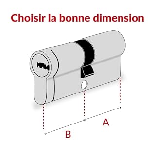 Cylindre de Serrure à Bouton 40BTx40mm TRANSIT 1 - Système de Sécurité Finition Nickel - Usage Porte d'Entrée - Fabriqué en France - Livré avec 4 Clés Plates Réversibles - Garanti 10 Ans - THIRARD
