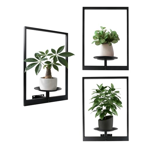 SUNLITOPTO Plant Wall Shelf, Metal Modern Style Frame, Picture Wall