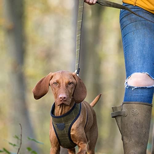 HUGO & HUDSON Tweed Dog Lead with Padded Handle - Adjustable Training Leash with Quick Release Clip & Stainless Steel Hook - 120 x 2.5cm Green Checked