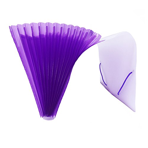 ACP Pasta Sanfona A4 com 12 Divisões, Roxo (Lilás), 235 x 330 x 35 mm