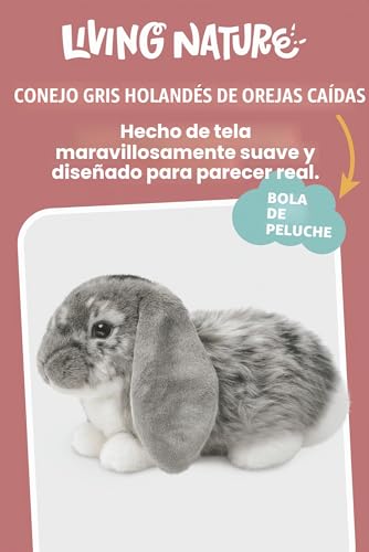 Miniatura 2 de Living Nature Peluche De Conejo Gris Holandés Con Orejas De Lop, Regalo Suave Y Esponjoso Para Niños, Muñeca Para Niños Y Niñas, Respetuoso Con El Medio Ambiente, 26 Cm