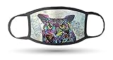 Colorful Owl Dean Russo Officially Licensed Art Printed Double Layered Mask