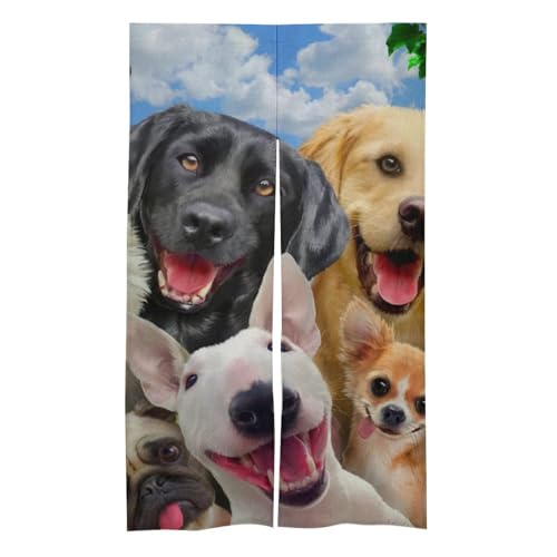 ̂ g fM Ռ  X 킢 ǂԂ X Ԏd؂ hAJ[e O ډB  h h lGʗp ւ̂ rO CeA HX 86×143cm