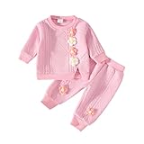 Eqenkely Bebé Niña Outfit Conjuntos de Sudadera Flores Bordado de Manga Larga +Pantalones 2 Piezas Ropa Trajes para 3M-3T Rosa 3-6 Meses
