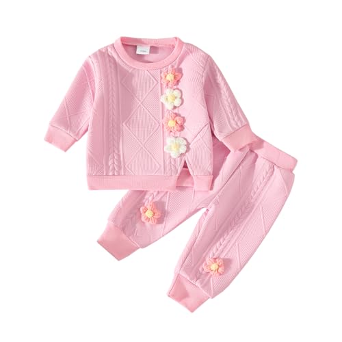 Eqenkely Toddler Baby Girl Clothes Outfits Flower Embroidery Cute Long Sleeve Solid Pullover Sweatshirt + Pants 2 Piece Infant Sweatsuit Set Pink 6-12 Months