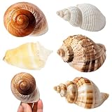 Estilo Hawaiano: Los accesorios hawaianos combinan bien con estas fiestas de cumpleaños temáticas náuticas. Haz hermosas decoraciones vibrantes para la sala de estar, mesa de comedor, dormitorios, galería de arte, fiesta luau, decoración de restaurante y cualquier ocasión que puedas imaginar. También es posible extiende algunas y conchas marinas con granos de arena de playa en una pecera. Haz un tema relajante bajo el mar utilizándolas para decoraciones de peceras