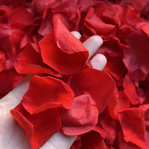 Real Red Rose Petals, Preserved Flower Petals for Romantic Night,180+PCS - image 1