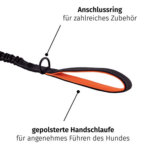 Floxik Hundeleine elastisch 150 cm | Premium Bungeeleine inkl. Kurzführer in verschiedenen Größen (1 m / 1,20 m / 1,50 m) | schwarz/orange & reflektierend