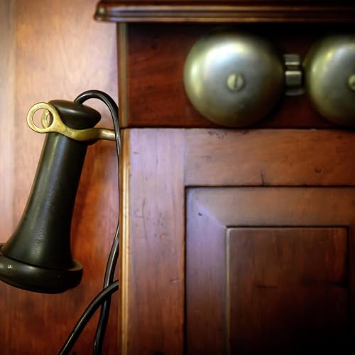 All calls: Vultures tend not to eat Episcopalians