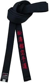 Shotokan - Cinturón de karate negro bordado japonés, artes marciales, deportes, club junior, poliéster, decoración de 4 cm, color dorado, amarillo, rojo, azul y blanco (palabra roja, 220cm)