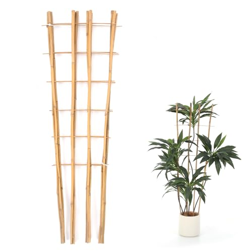 Bamboo Trellis 4Ft 3Pack Climbing PlantsTrellis Fan-Shaped Trellis for Outdoor and Indoor Potted Climbing Plants Vegetables Cucumber Tomato Hoya