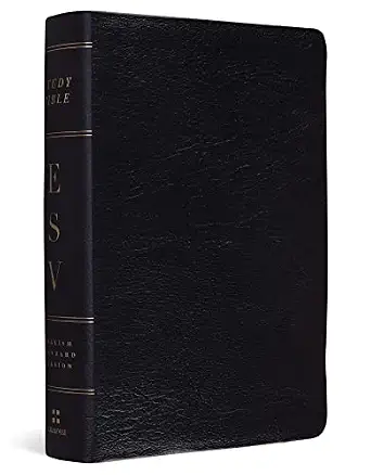 ESV Study Bible (Personal Size)