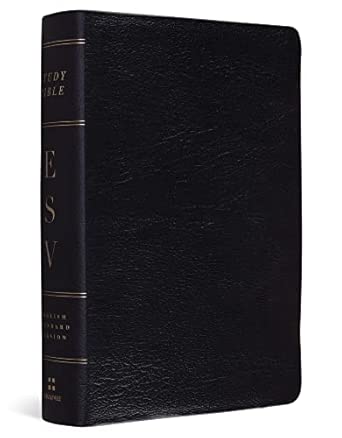 ESV Children's Bible (Hardcover, Let the Children Come