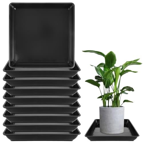 MIVIDE Lot de 10 Soucoupes Carrées 30 x 30 x 4.5 cm, Soucoupes pour Pot de Fleurs en Plastique, Plateau Carré -pour Pot de Fleurs, Plantes d'Intérieur et d'Extérieur, Noir
