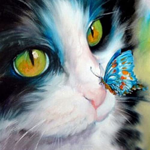 YMQIANYU 5D Katze und Schmetterling Diamond Painiting nach Zahlen Kits für Kinder und Erwachsene, DIY Vollbohrer Strass Diamant Malen Diamant Kunst Set für Wohnkultur (Cat with Butterfly) Cover