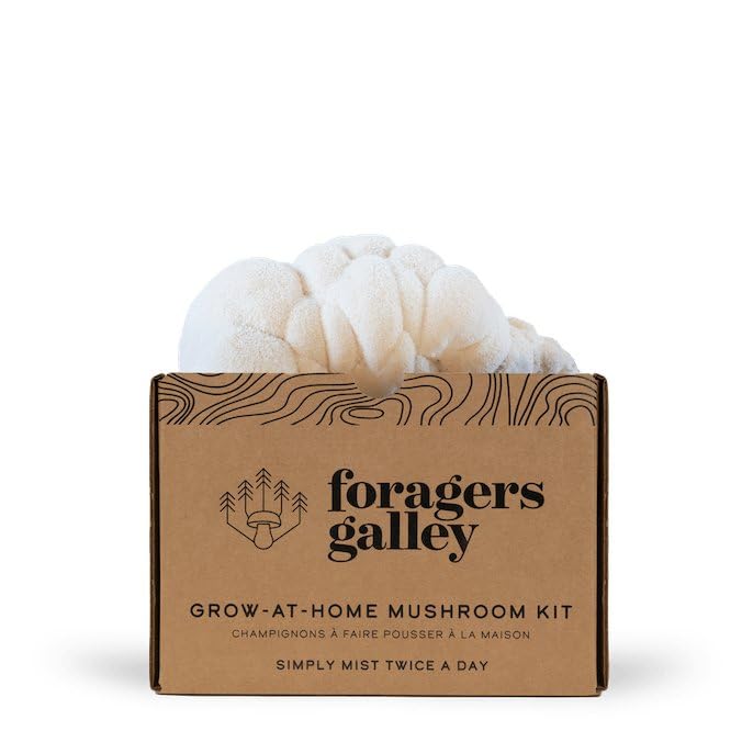 Foragers Galley Lion's Mane Mushroom Growing Kit 6lb