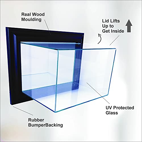 Perfect Cases Wall Mounted Bat Display Case, Black Finish #TOP3