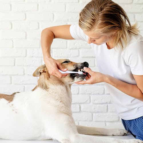 POPETPOP Elektrische Zahnbürste Für Haustiere Ultraschall Haustierzahnpflege Leicht Tragbar Sanft Zu Zähnen Und Zahnfleisch Für Hunde Und Katzen 7.48 Zoll