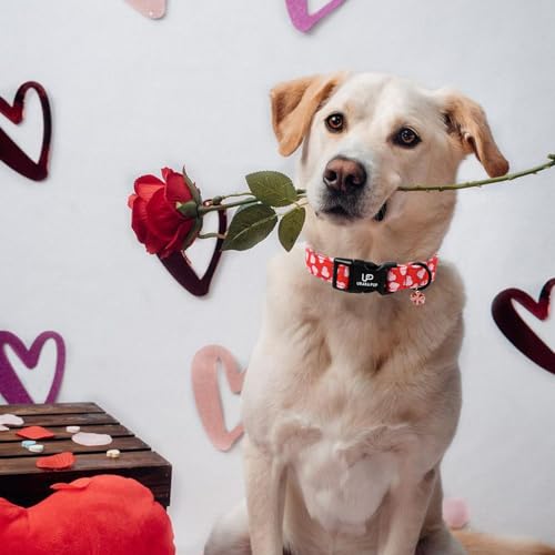 Image of Valentine's Dog Collar, UP URARA PUP Pink Heart in Red Adjustable Pet Collar with Bowknot Charm, Wedding Dog Accessories for Small Medium Large Dogs