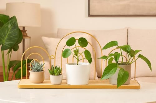 Urban Lifestyle Gold Iron Scallop Shelf, Modern Decorative Floating Wall Shelf with Wooden Base,Boho Arch Design Organizer for Living Room, Bedroom, or Office by Urban Lifestyle - Used condition - Image 2