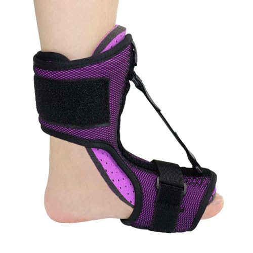 ؖiCgXvgAtbg}bT[W{[t߉\ȑu[XT|[gAؖAA[`̒ɂ݂̂߂̃tbghbvu[X,Purple