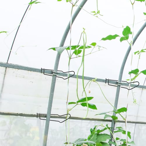 Yardenfun 20 xŒp|obN rj[nEXpϋvANZT[ Ɨp^i