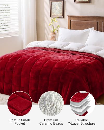 Super Fuzzy Soft Sherpa Fleece Weighted Blanket, 20 lbs Dual Sided Fluffy Heavy Weighted Blankets for Adults - No Bunching with Double Layers of Soft Inner Lining (60"x 80", 20 Pounds)