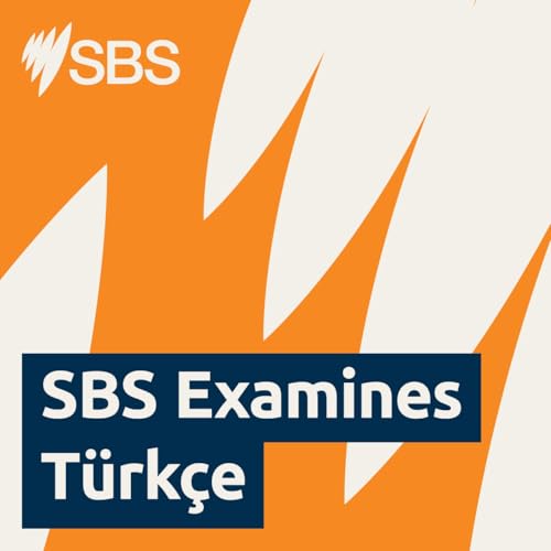 How does political grief affect social cohesion? - SBS Examines: Siyasi keder sosyal uyumu nasıl etkiliyor?