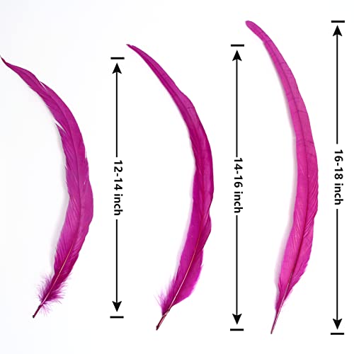 Tharaht 50Pcs Rooster Coque Tail Feathers Bulk Natural 12-14Inch 30-35Cm For Crafting Wedding Fly Tying Feather Party Performances Diy Decoration Rooster Tail Feather,Hot Pink #TOP2