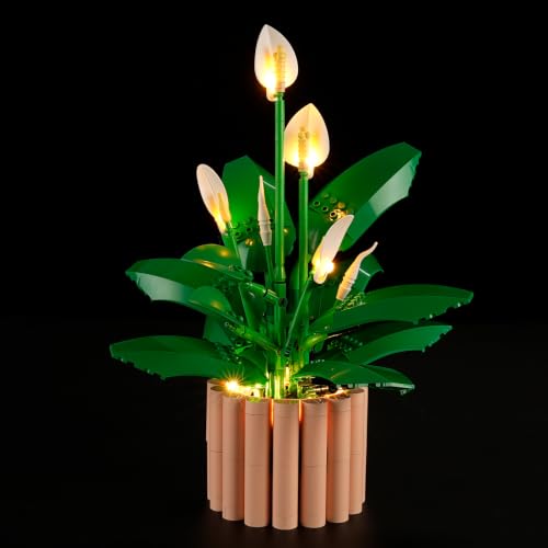 YEABRICKS LED Licht für Lego-11504 Botanicals Friedenslilie Bausteine Modell (Bausteine Set Nicht enthalten)