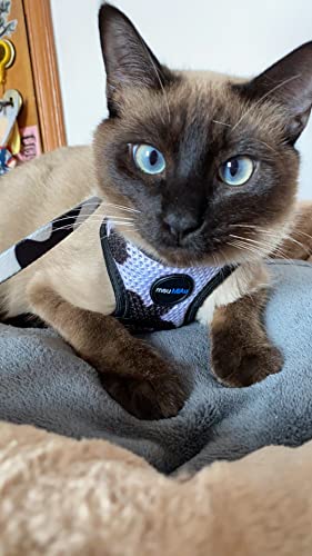 Peitoral Para Gatos Segura MeuMiau Cool (Pequeno)