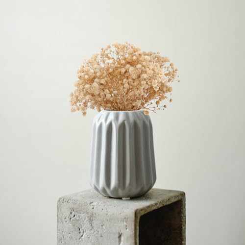 Ramo de flores secas Babysbreath 10 ramos 12cm natural miniatura 3