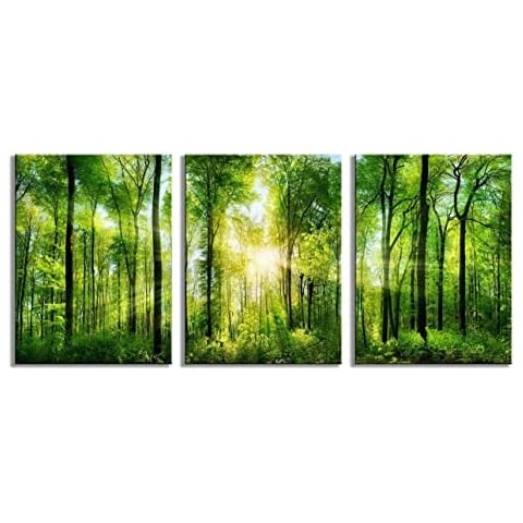 HLJ ART 3 Panels Morning Sunrise Green Trees Landscape Sunshine Over Forest Photograph Printed on Canvas for Home Wall Decoration (Green, 12x16inchx3) Cover