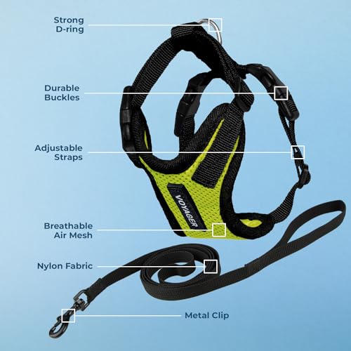 Image of Voyager Escape-Proof Step-in Lock Cat Harness & 5ft Neoprene-Handle Leash Set All-Weather Mesh with Reflective Stitching for Small to Large Cats by Best Pet Supplies, Lime Green /Black Trim, S