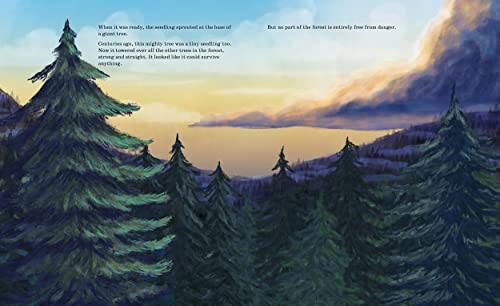 Listen To The Language Of The Trees: A Story Of How Forests Communicate Underground #TOP4