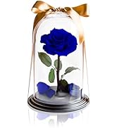 AMOROSA バラ　プリザードフラワー Amazon｜AMOROSA アモローサ プリザーブドフラワー ダイヤモンドローズ