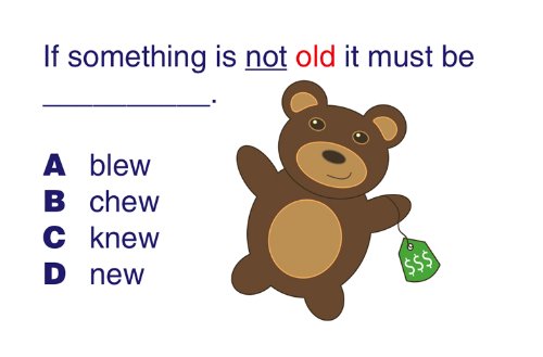 Newpath Learning Mastering Reading/Language Arts Curriculum Mastery Game, Grade 2, Class Pack #TOP3