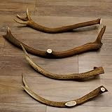 GTK Geweihe & Trophäen Krumholz ist seit über 30 Jahren Ihr Ansprechpartner für Jagdtrophäen, Zubehör und jagdliche Accessoires